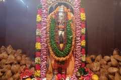 0379c8ad-a1e5-49ac-974f-5a77ee70a44d